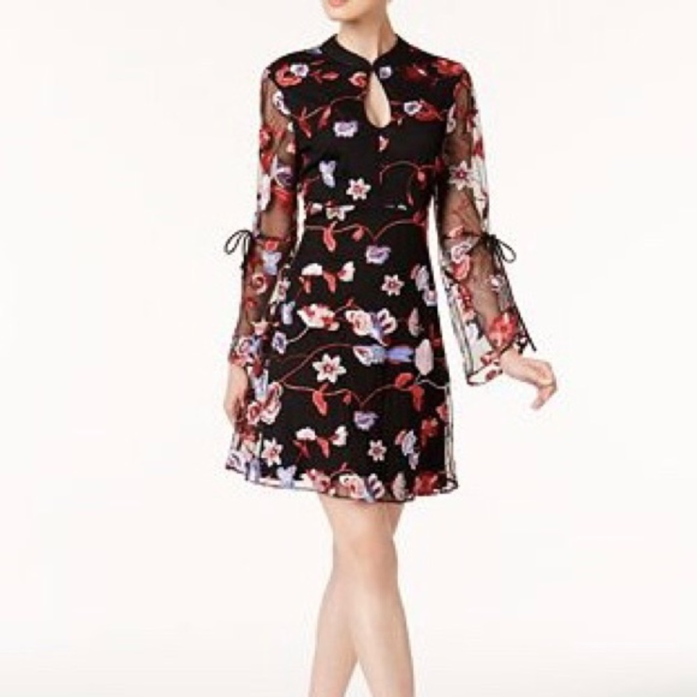 ECI Embroidered Fit & Flare Dress